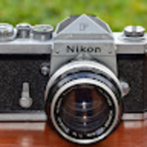 Meet your Posher, Dylan